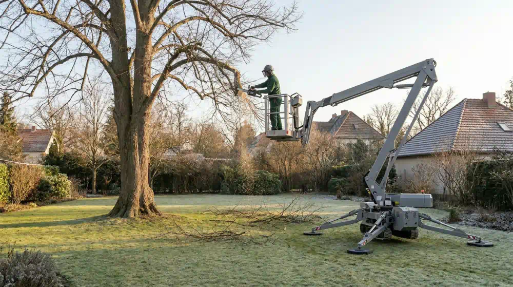 Baumpfleger mit heruntergeklapptem Visier kürzt im Februar von einer Raupen-Arbeitsbühne aus einen Ast einer kahlen Linde, Baumschnitt in Potsdam von Pro Baumpflege Potsdam