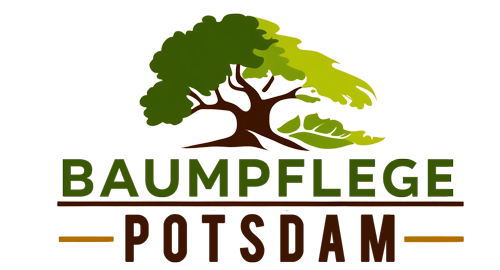 Baumpflege Potsdam
